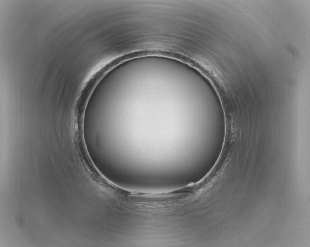 X0000116341070200912011344