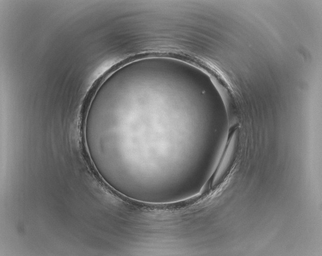 X0000116341071200912011344