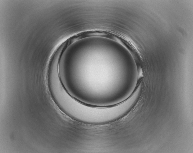 X0000116341072200912011344