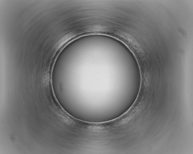 X0000116341073200912011344