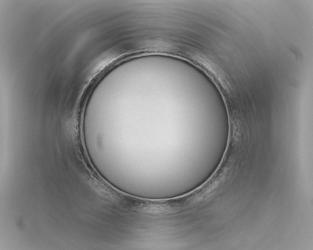 X0000116341074200912011344