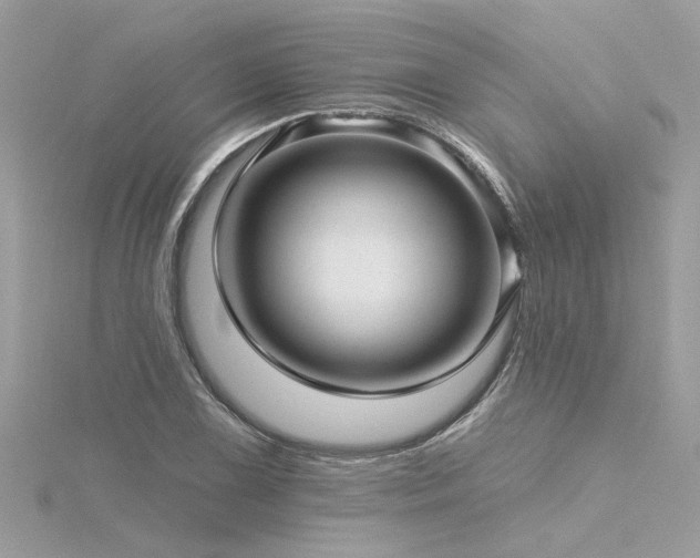 X0000116341075200912011344