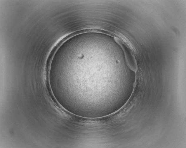 X0000116341076200912011344