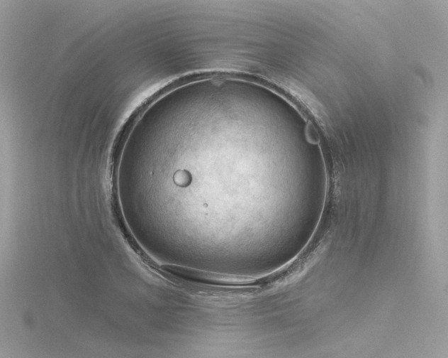 X0000116341077200912011344