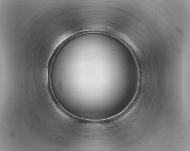 X0000116341079200912011344