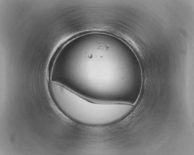 X0000116341080200912011344