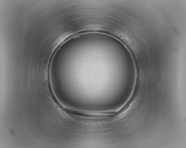 X0000116341081200912011344