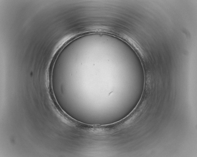 X0000116341082200912011344