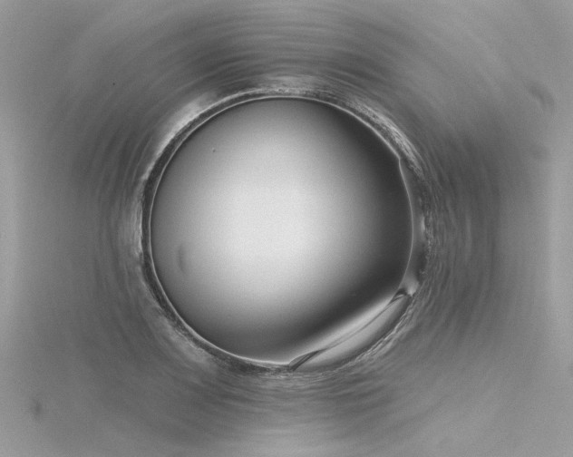 X0000116341083200912011344