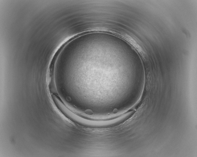 X0000116341084200912011344