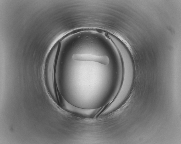 X0000116341085200912011344