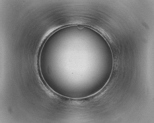 X0000116341086200912011344