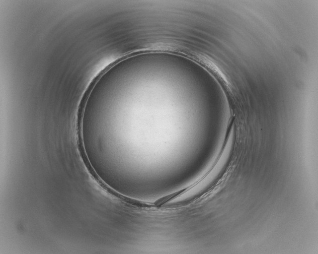 X0000116341087200912011344