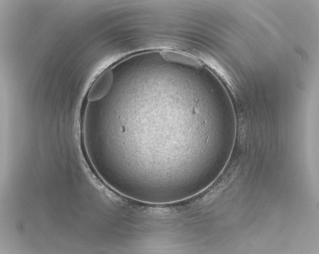 X0000116341088200912011344