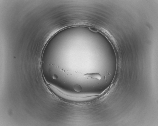 X0000116341089200912011344