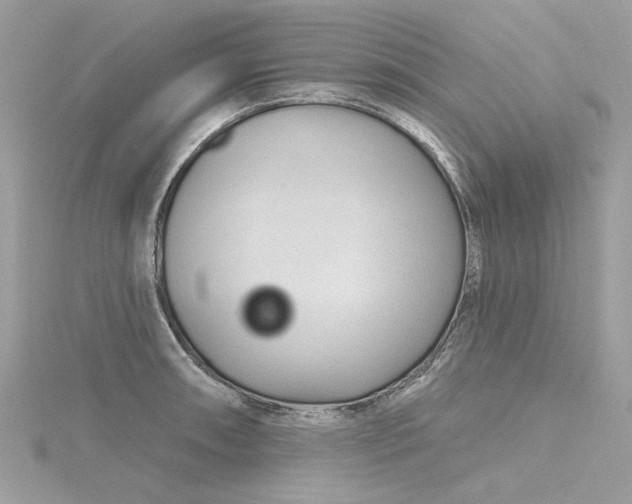 X0000116341090200912011344