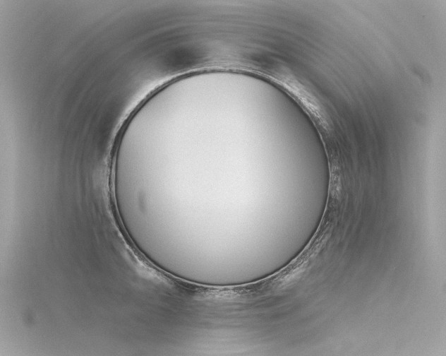 X0000116341094200912011344