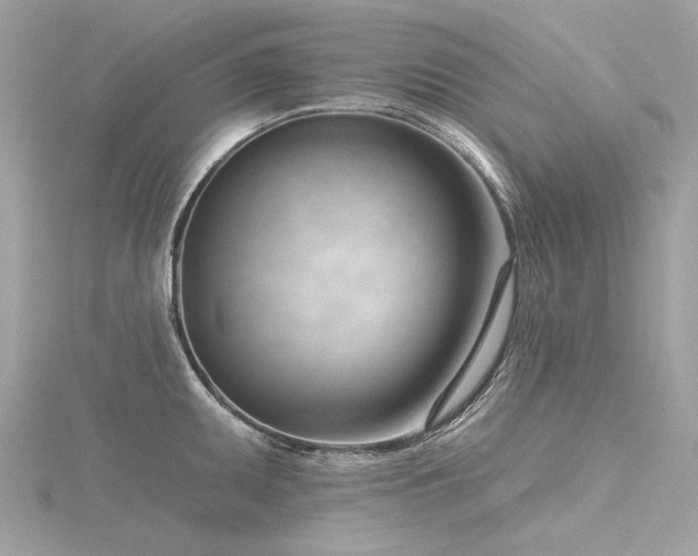 X0000116341095200912011344