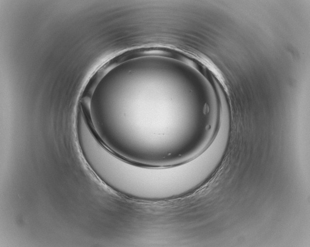 X0000116341096200912011344