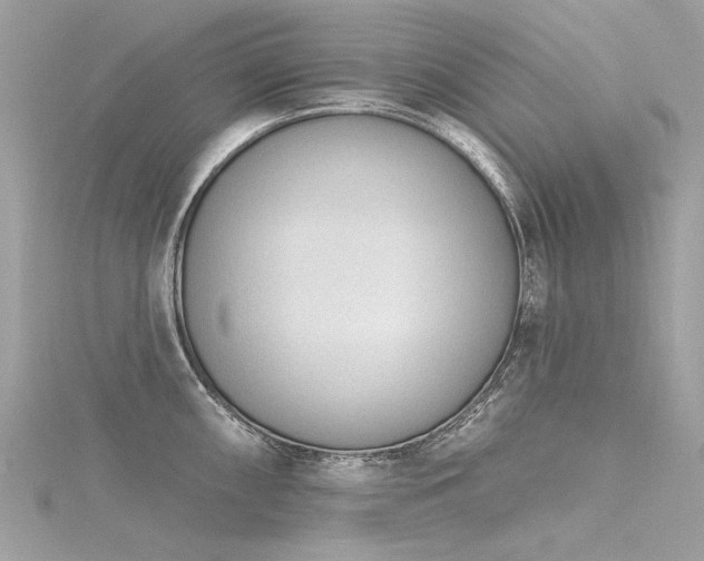 X0000116341098200912011344