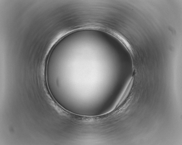 X0000116341099200912011344