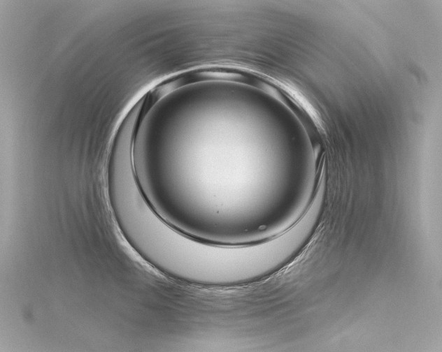 X0000116341100200912011344