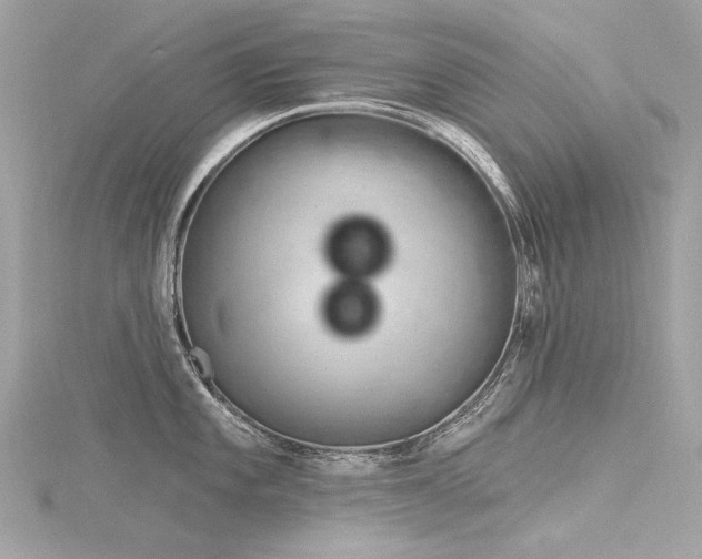 X0000116341101200912011344