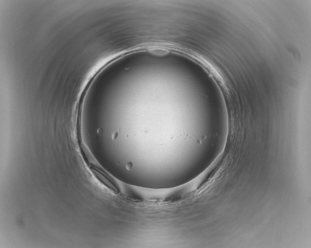 X0000116341102200912011344