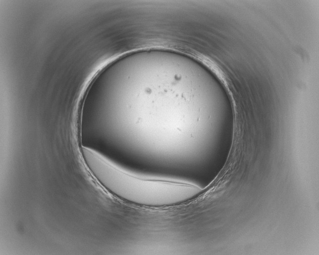 X0000116341104200912011344