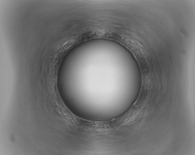 X0000116341105200912011343