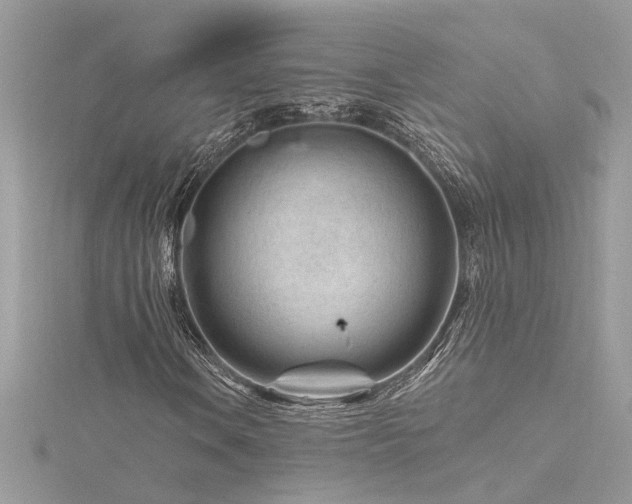 X0000116341106200912011343