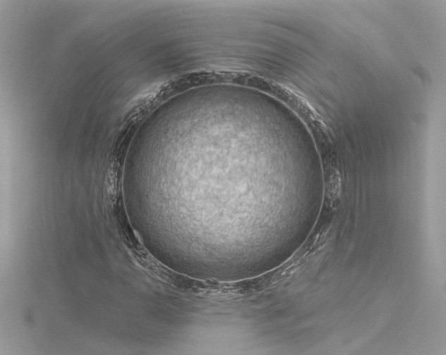 X0000116341110200912011343