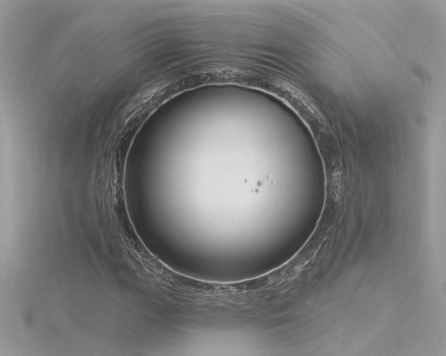 X0000116341111200912011343