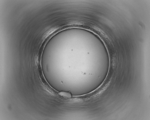 X0000116341113200912011343