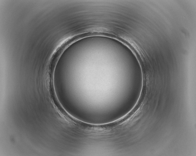 X0000116341115200912011343