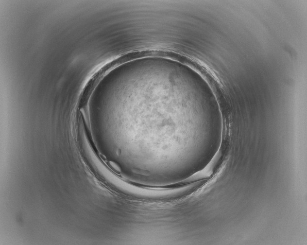 X0000116341117200912011343