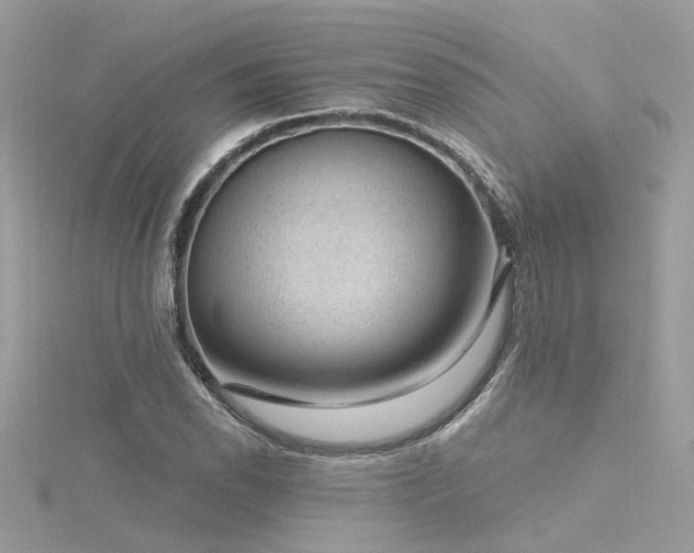 X0000116341118200912011343