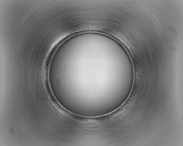 X0000116341119200912011343