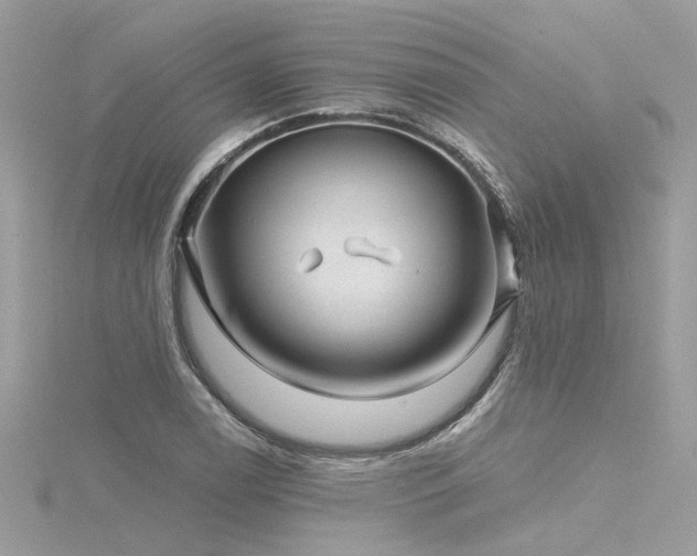 X0000116341122200912011344