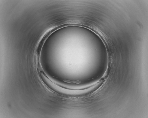 X0000116341123200912011344