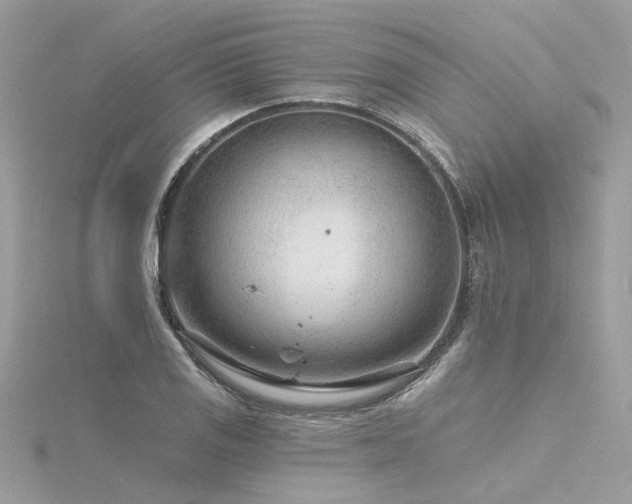 X0000116341125200912011344