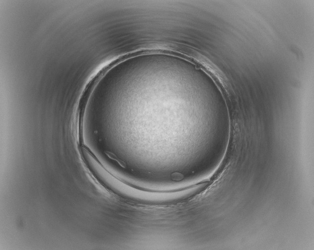 X0000116341127200912011344