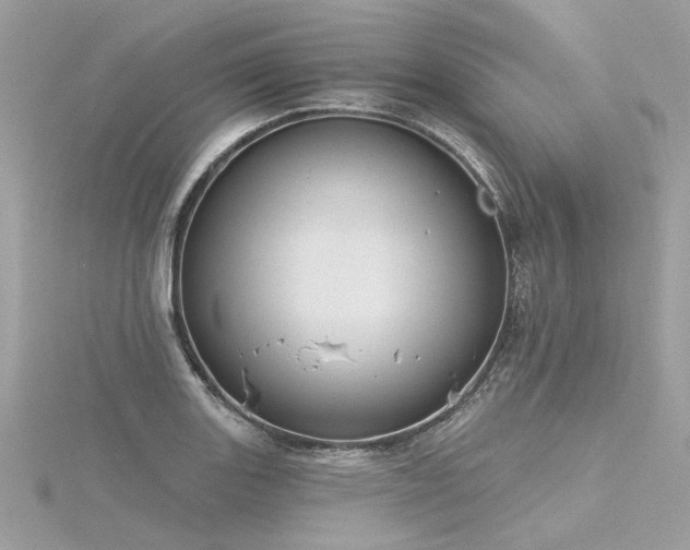 X0000116341131200912011344