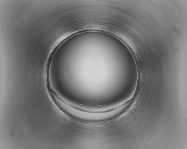 X0000116341133200912011344