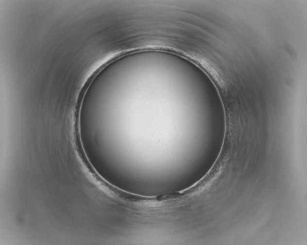 X0000116341134200912011344