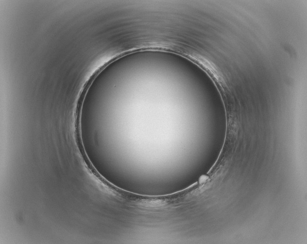 X0000116341135200912011344