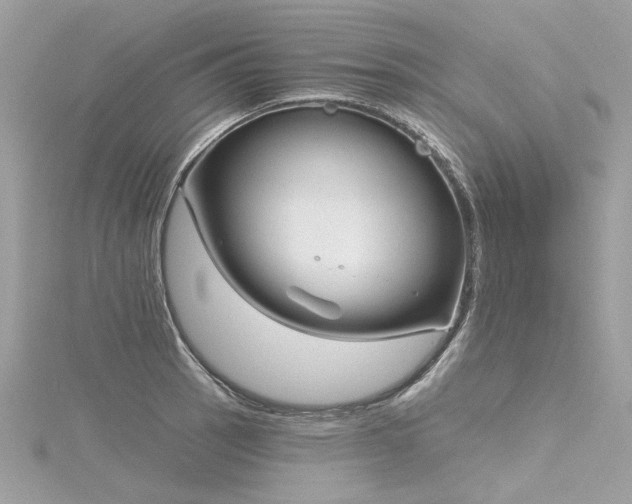 X0000116341137200912011344