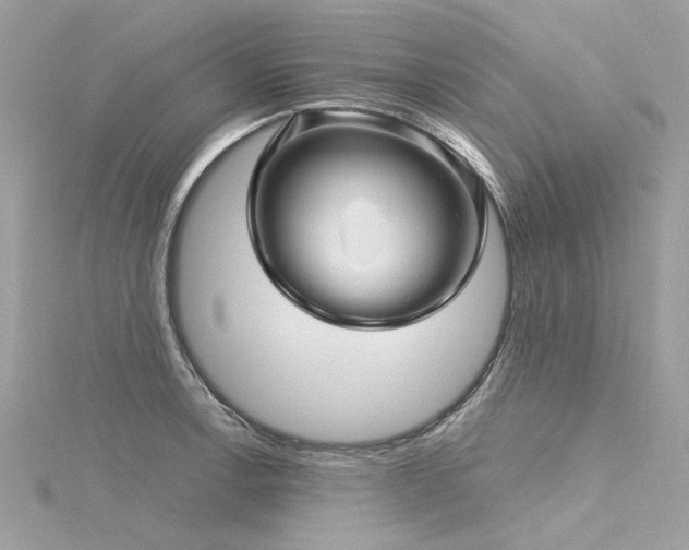 X0000116341138200912011344