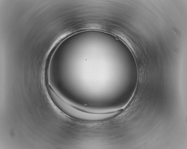 X0000116341139200912011344