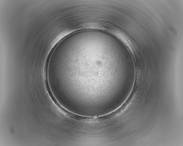 X0000116341141200912011344